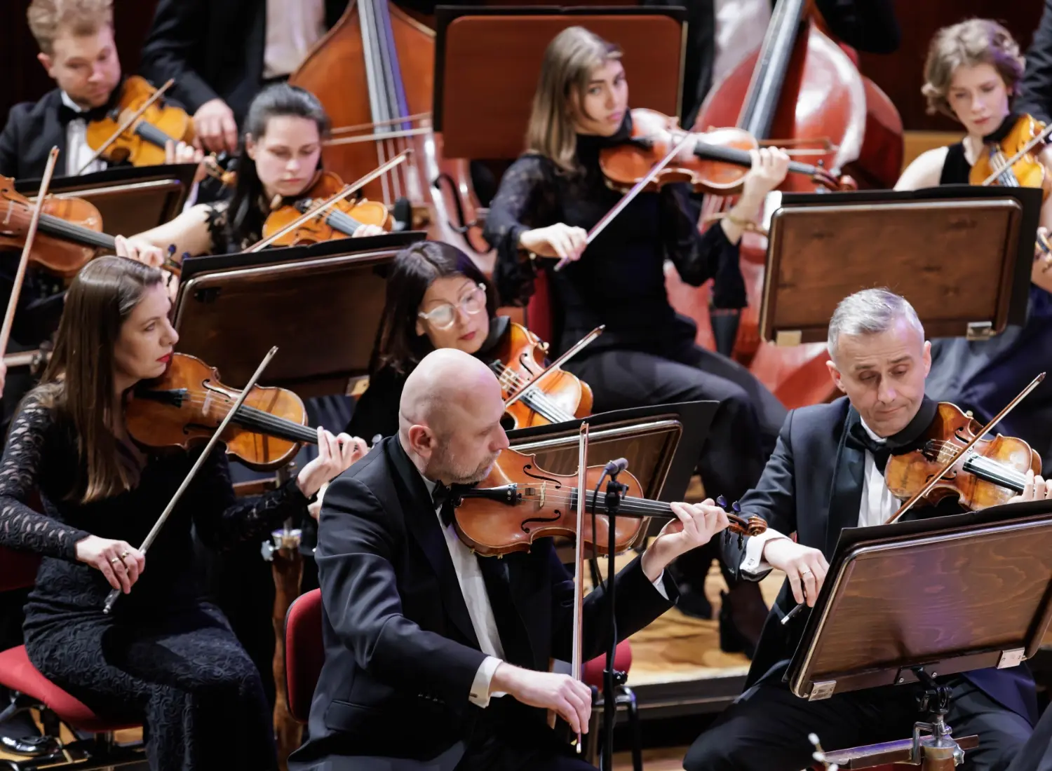 Musicians of Sinfonietta Cracovia performing on stage during a concert, playing string instruments.